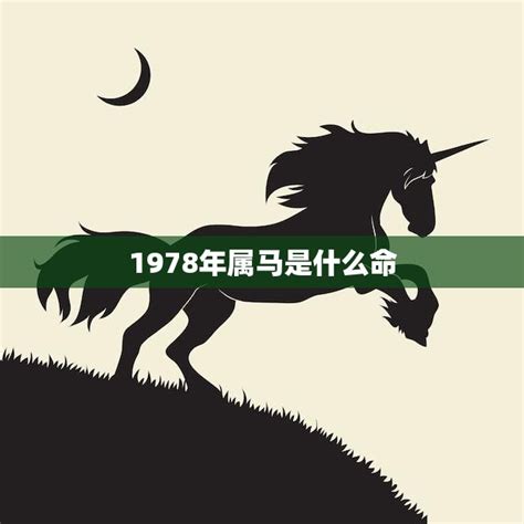 1978 年 生肖|1978年属马是什么命，78年出生五行属什么